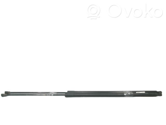 Renault Kangoo II Tailgate/trunk strut/damper 