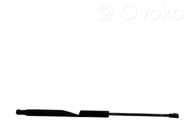 Fiat 500 Tailgate/trunk strut/damper 