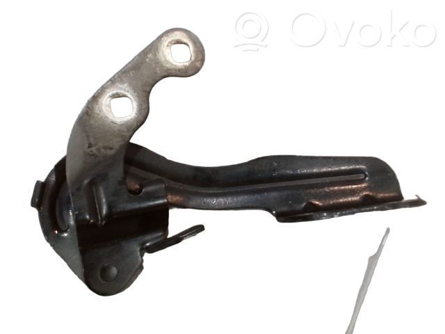 Ford B-MAX Engine bonnet/hood hinges 
