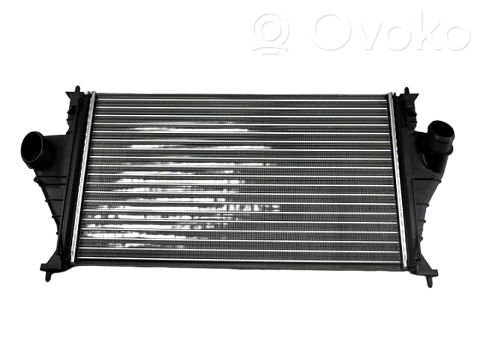 Peugeot 406 Intercooler radiator 