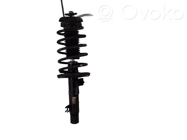 Citroen C3 Front coil spring 