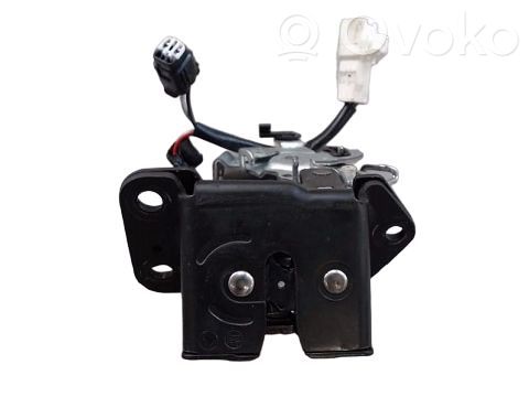 Loading door lock   6935013290,6935013290