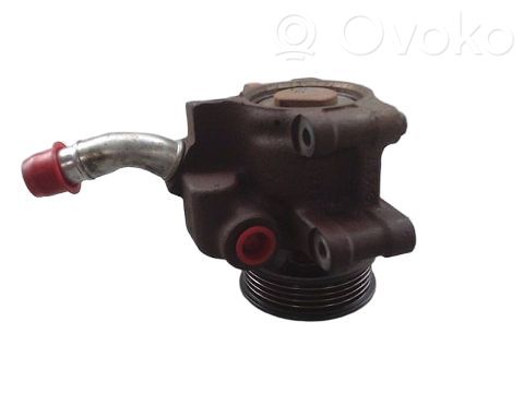 Ford Fiesta Power steering pump 