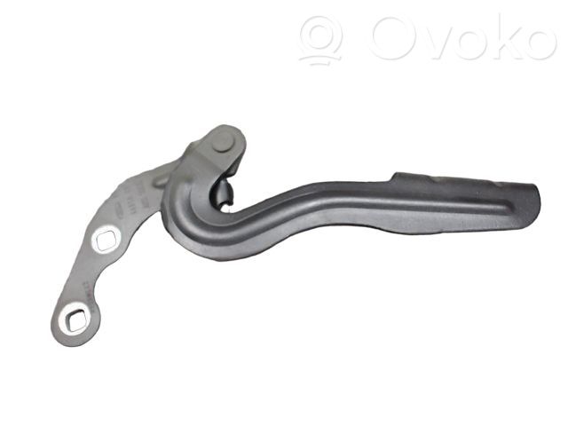 Ford B-MAX Engine bonnet/hood hinges 
