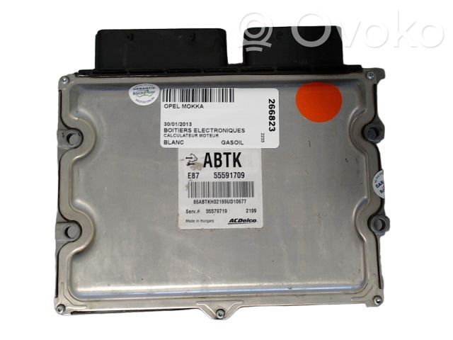 Opel Mokka Galios (ECU) modulis 