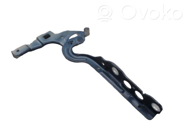 Citroen C4 II Cerniere del vano motore/cofano 