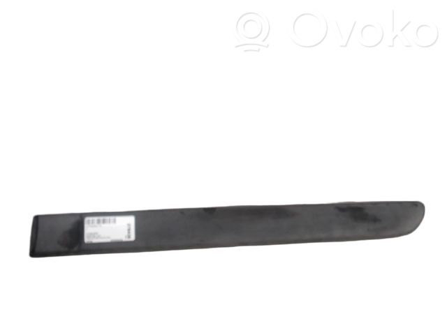 Citroen C3 Rear door trim (molding) 