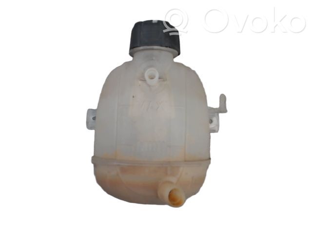 Renault Clio II Vas expansiune/rezervor lichid de răcire 