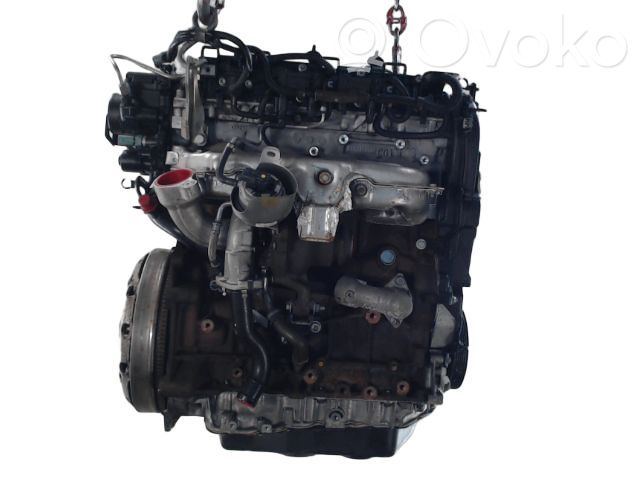 Variklis   0135QP,0135QP,RH02