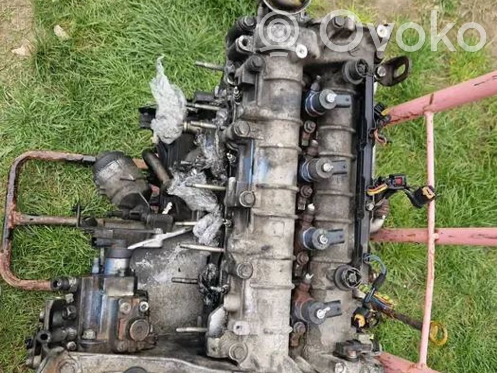 Motor   Z19DT
