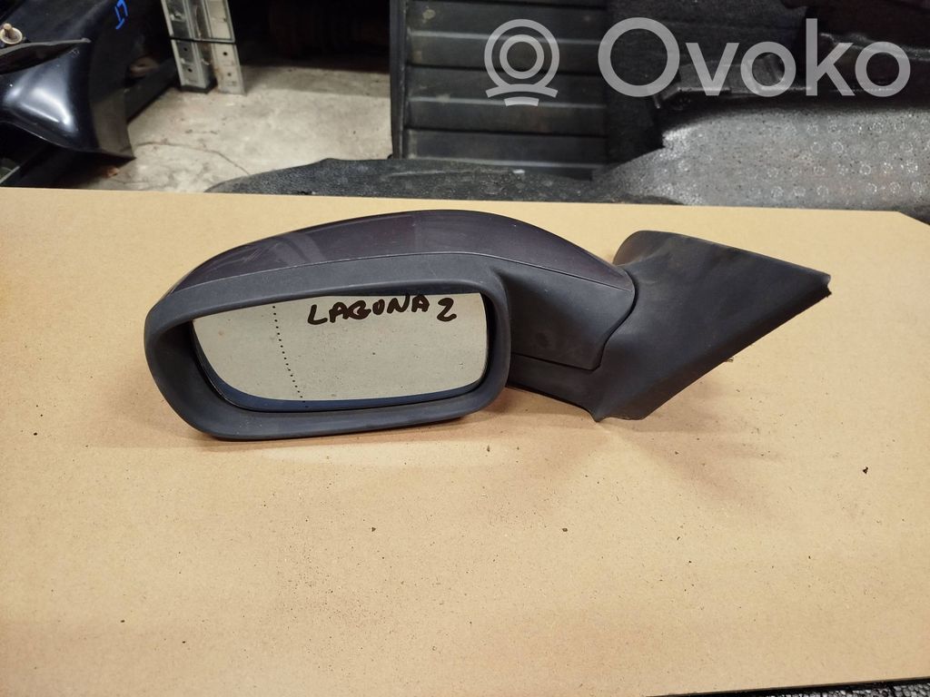 Renault Laguna II Front door electric wing mirror 