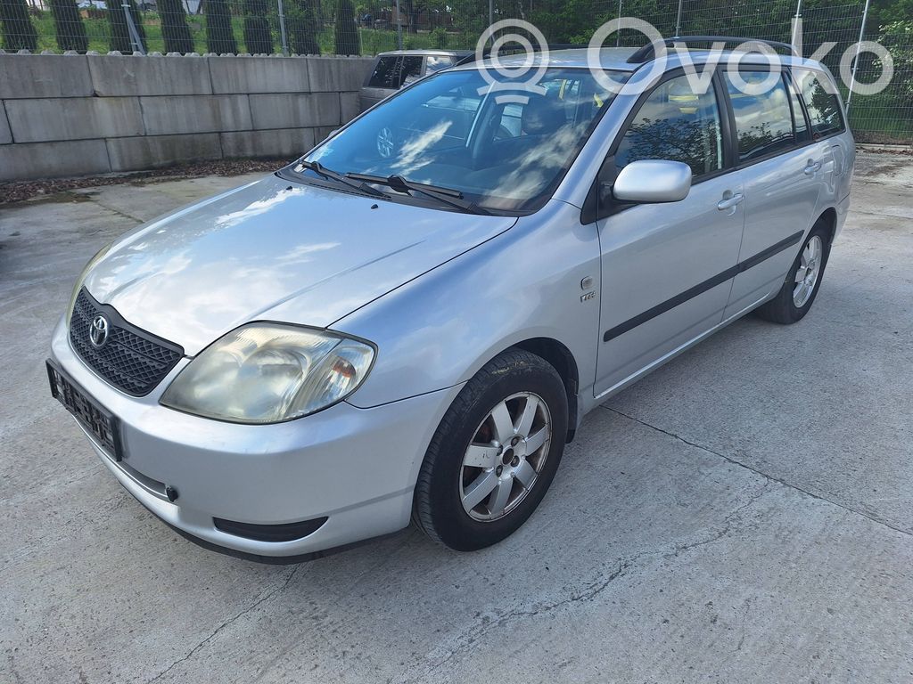 Sparnas   COROLLAE12BLOTNIKL