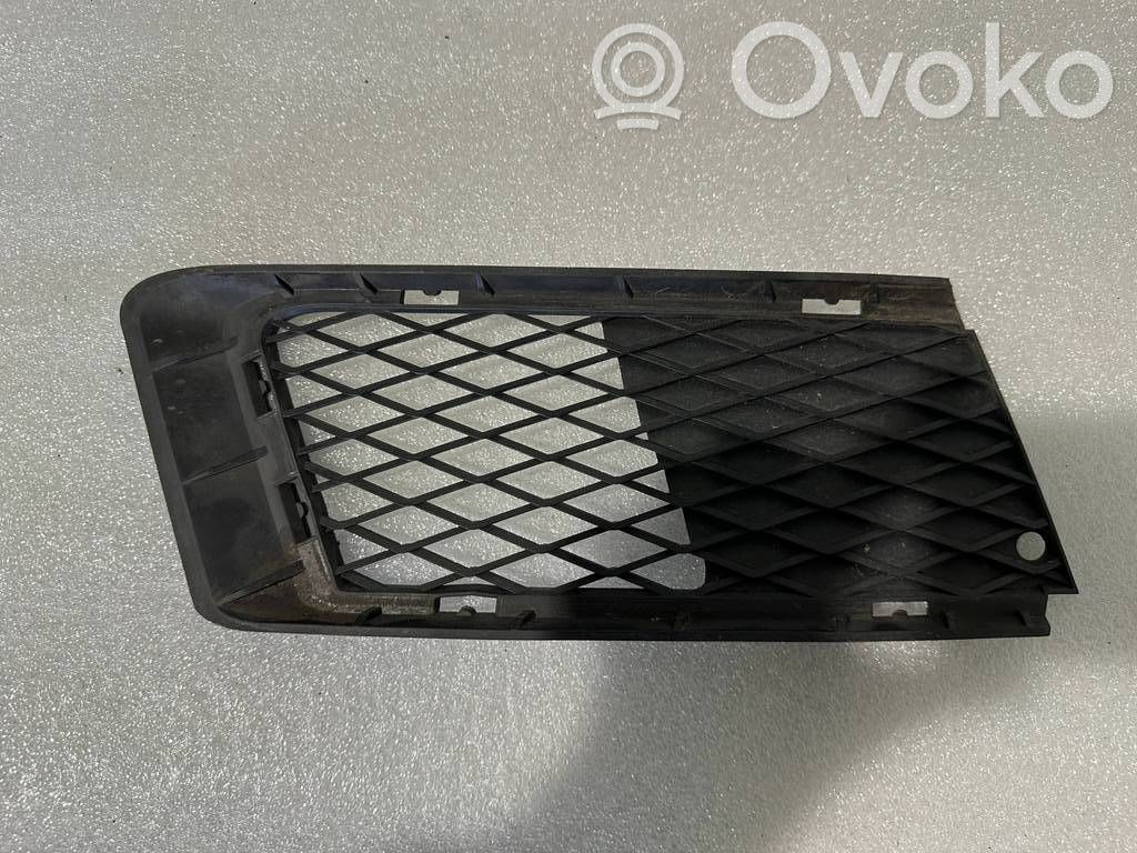 BMW 3 E92 E93 Front bumper lower grill 