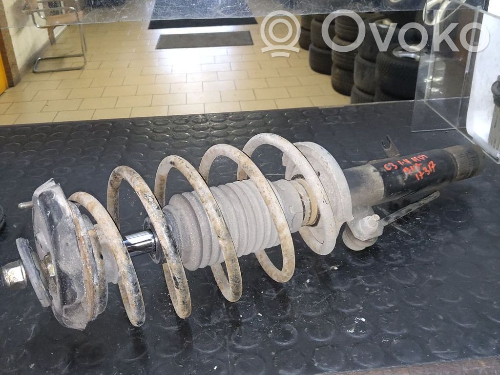 Stoßdämpfer vorne   17317,24440249,VDMS19
