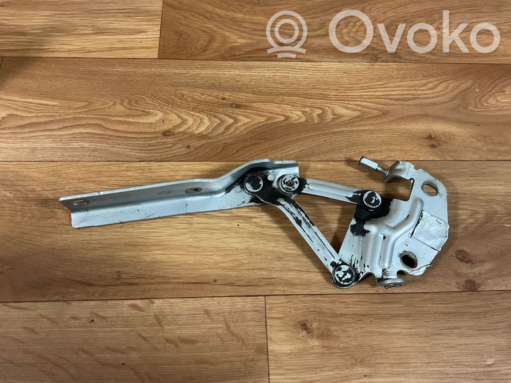 Volkswagen PASSAT B6 Balamale capotă 