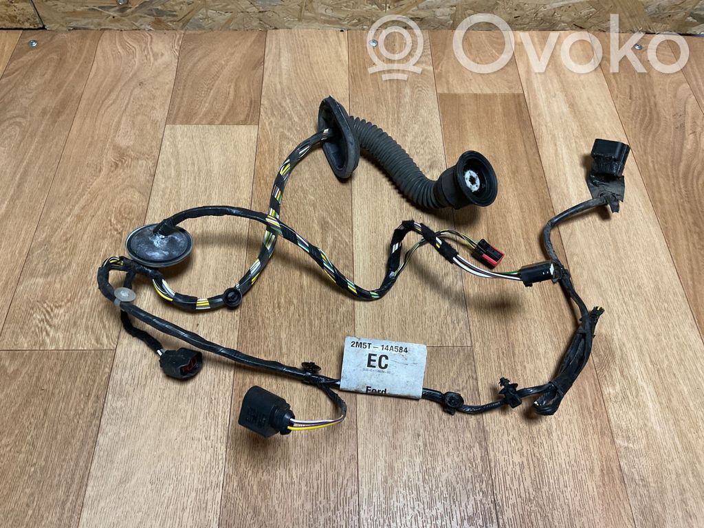 Ford Focus Cableado de puerta delantera 