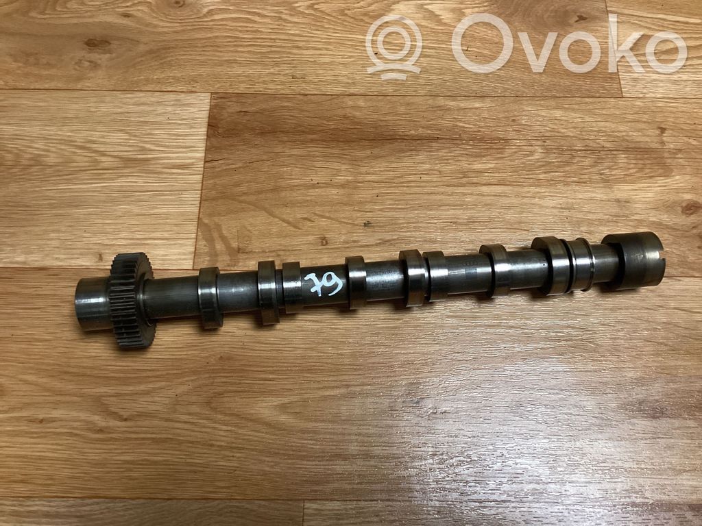 Sadales vārpsta   059102CC,53623000,240205