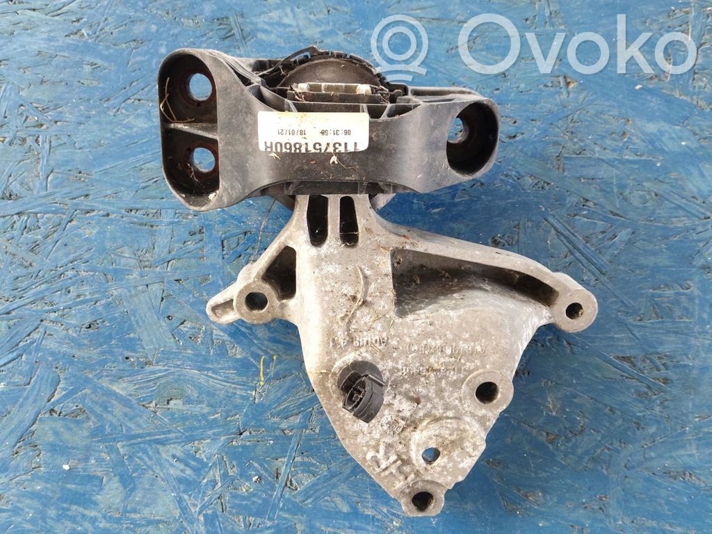 Renault Megane IV Cita veida salona detaļa 