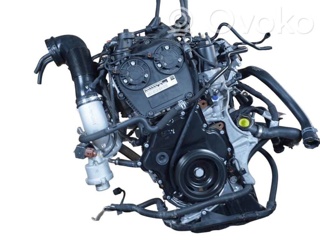 Engine   DGK
