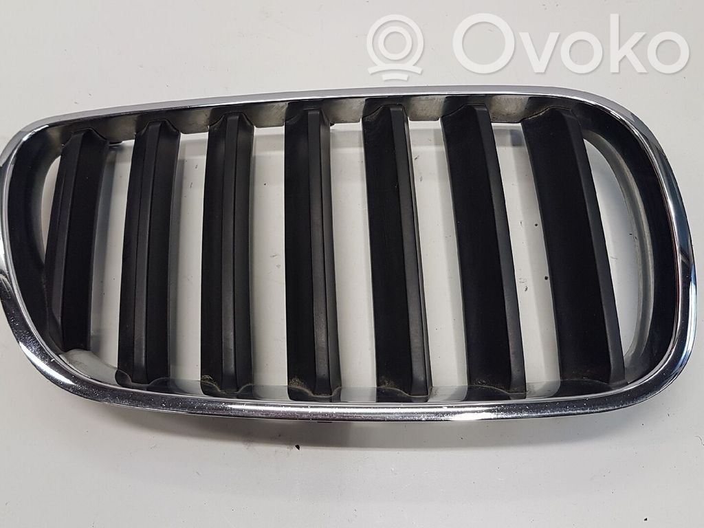 BMW X3 E83 Front grill 