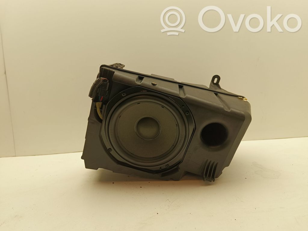 Tesla Model 3 Subwoofer 