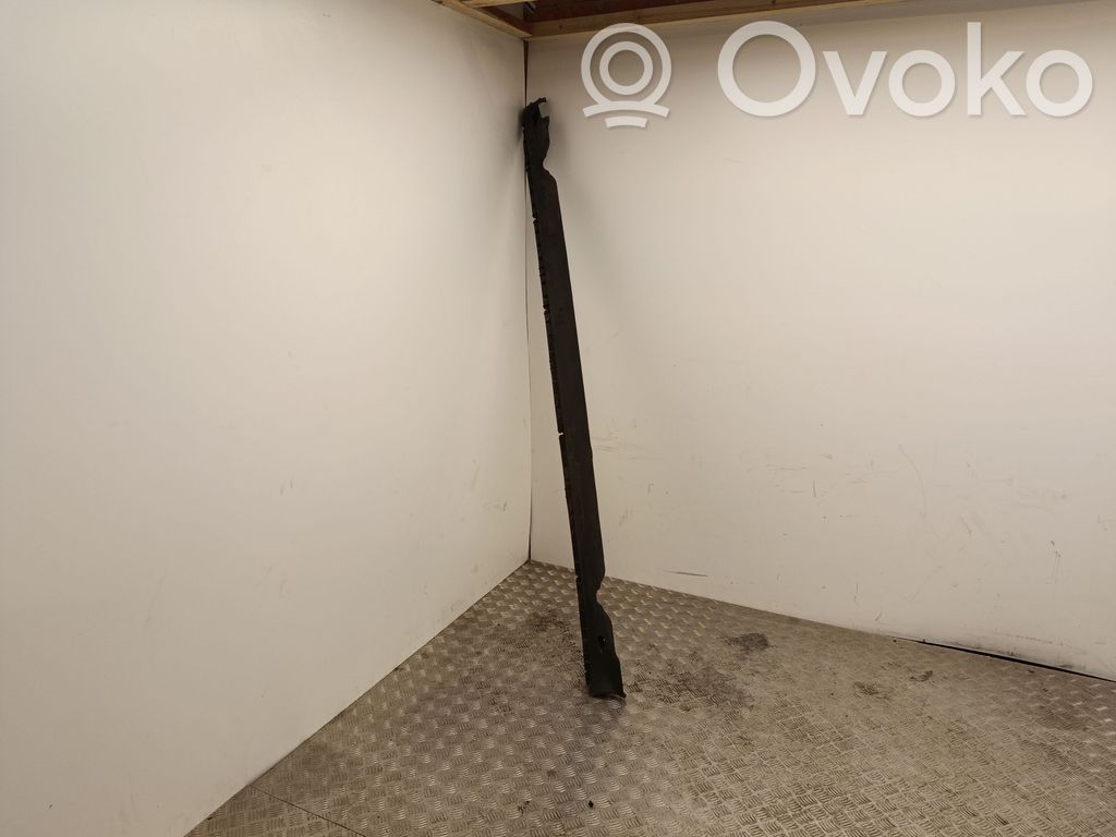 Tesla Model Y Slenkstis 