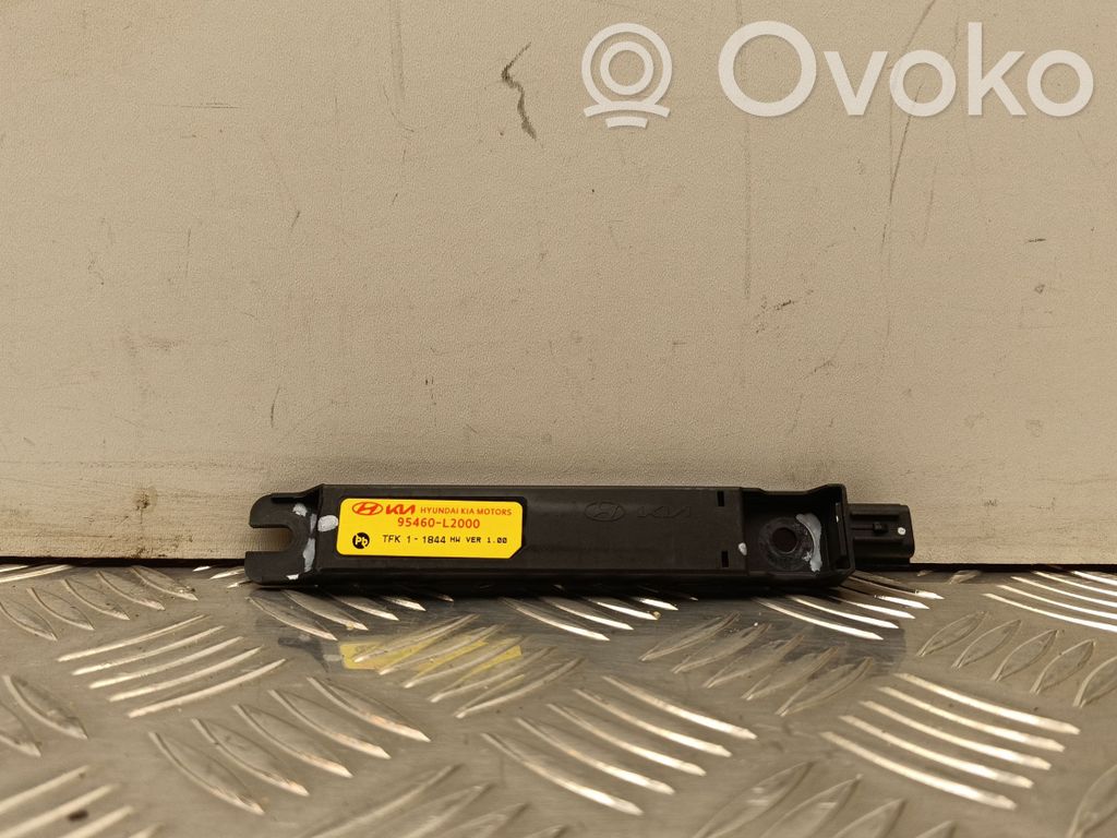 Hyundai Kona II Keyless system antenna 