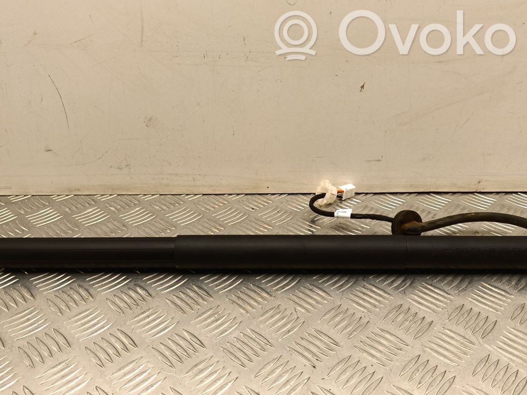 Tesla Model Y Tailgate/trunk strut/damper 