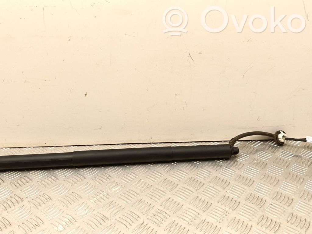 Tesla Model Y Tailgate/trunk strut/damper 