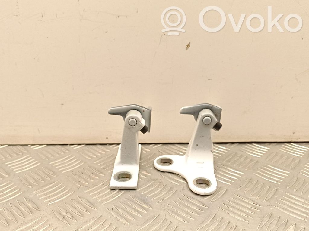 Tesla Model Y Rear door hinge set 