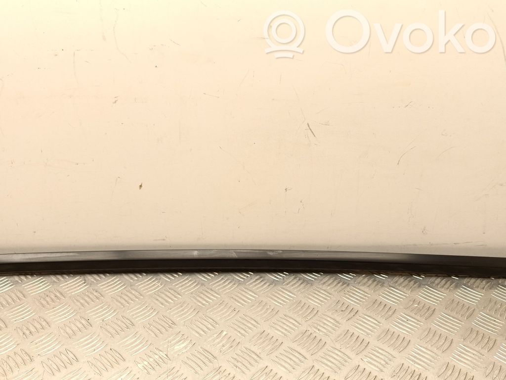 Tesla Model Y Galinių durų stiklo apdaila 