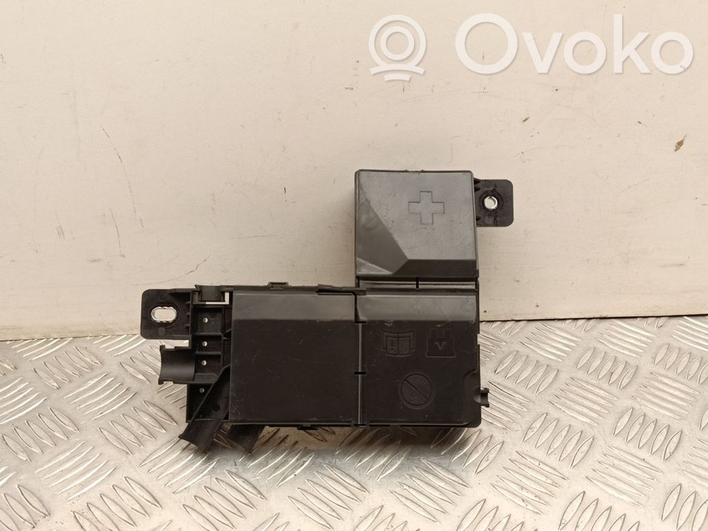 Polestar 2 Positive wiring loom 
