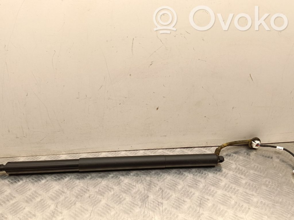 Tesla Model Y Tailgate/trunk strut/damper 