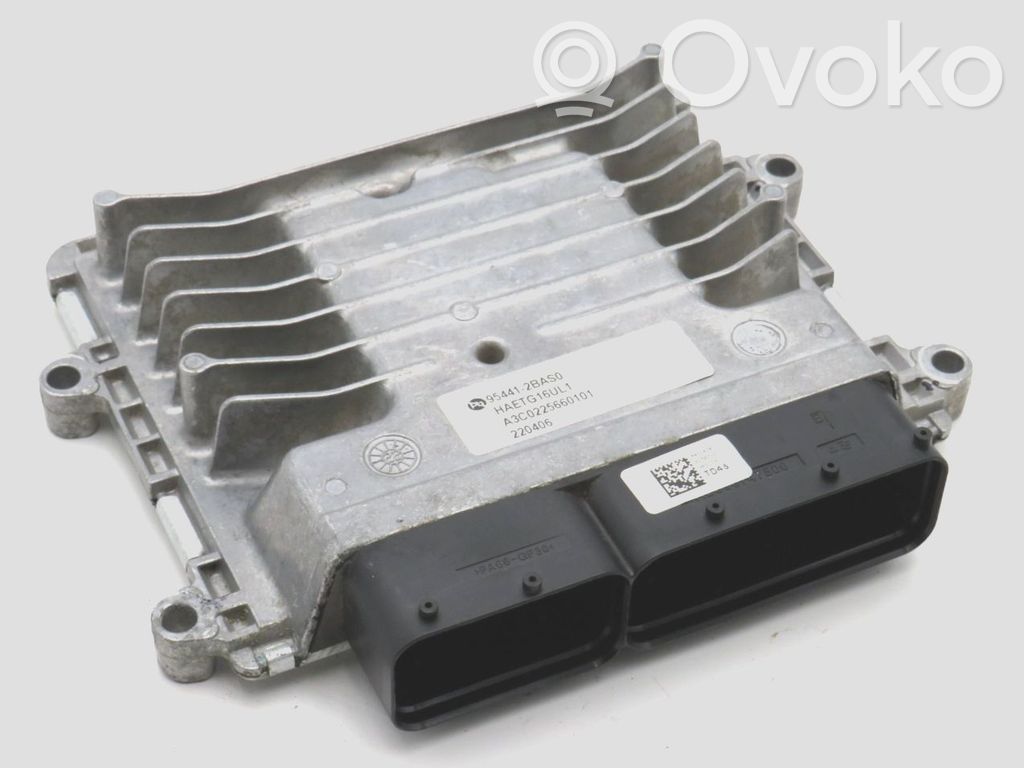 Hyundai Ioniq Unitate control motor/modul ECU 