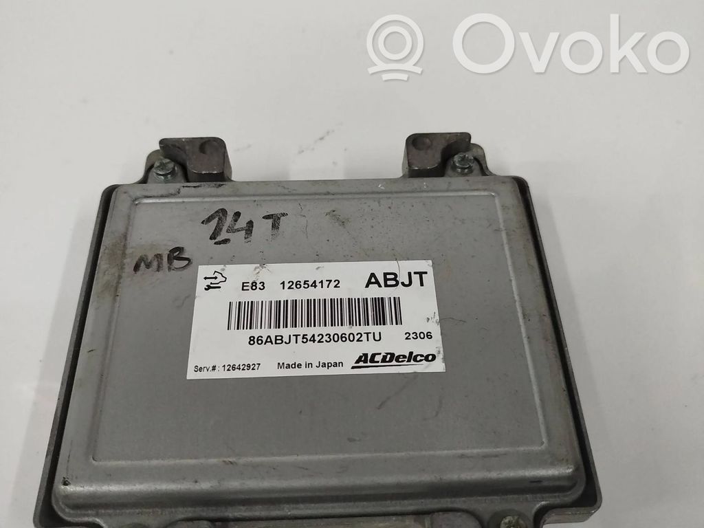 Engine control unit/module   12642927,12654172,862BJT542306202TU