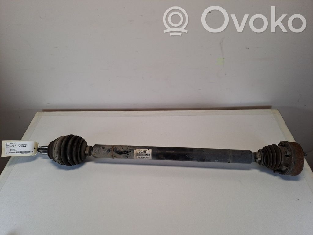 Audi A3 S3 A3 Sportback 8P Planetară față 