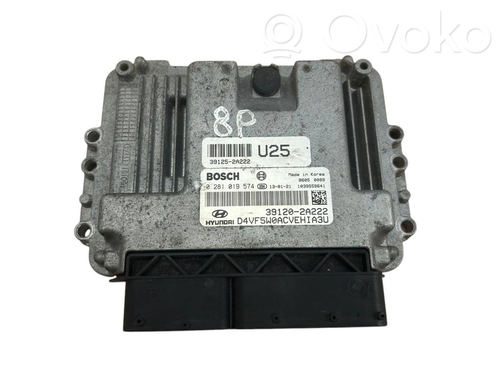 Engine control unit/module   391202A222,391252A222,0281019574