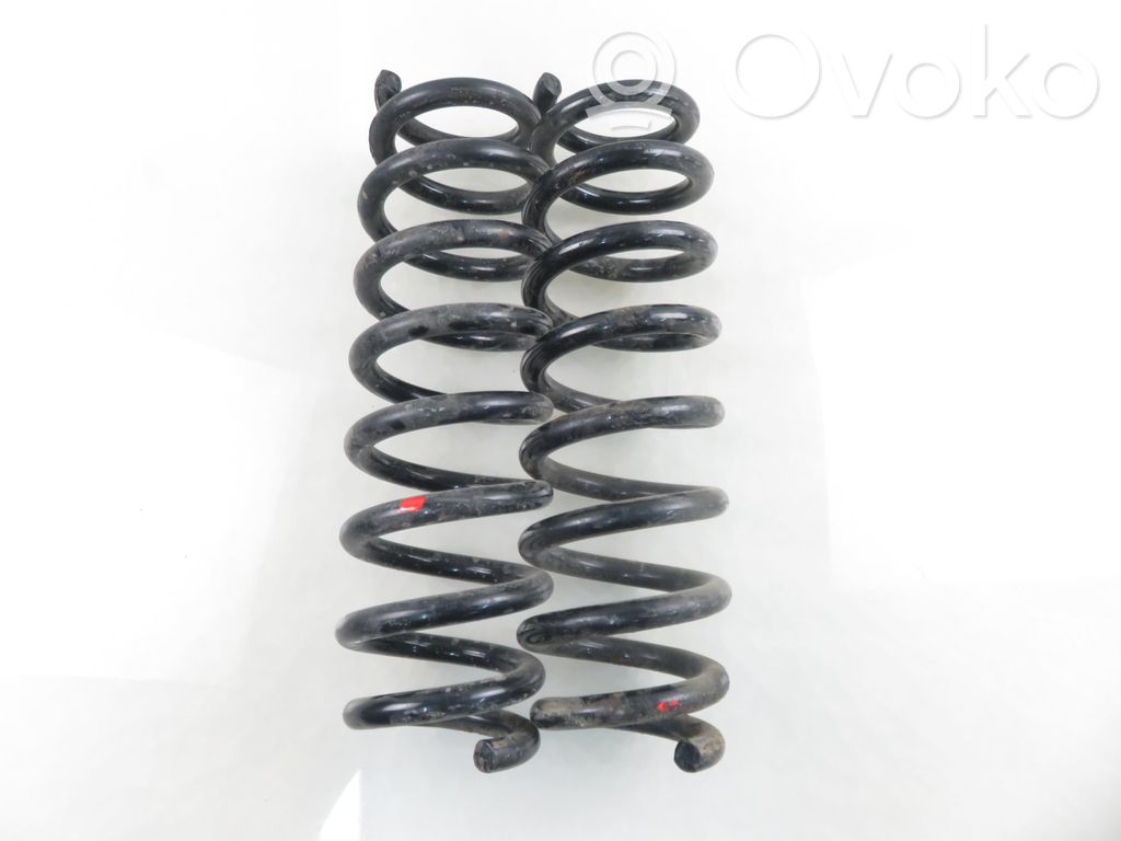 Rear coil spring