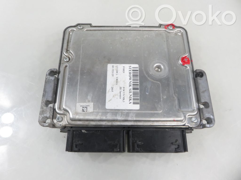 Ford Focus Engine control unit/module 