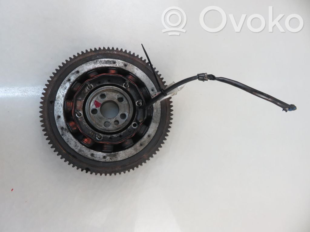 Flywheel   1079881139,1079881139