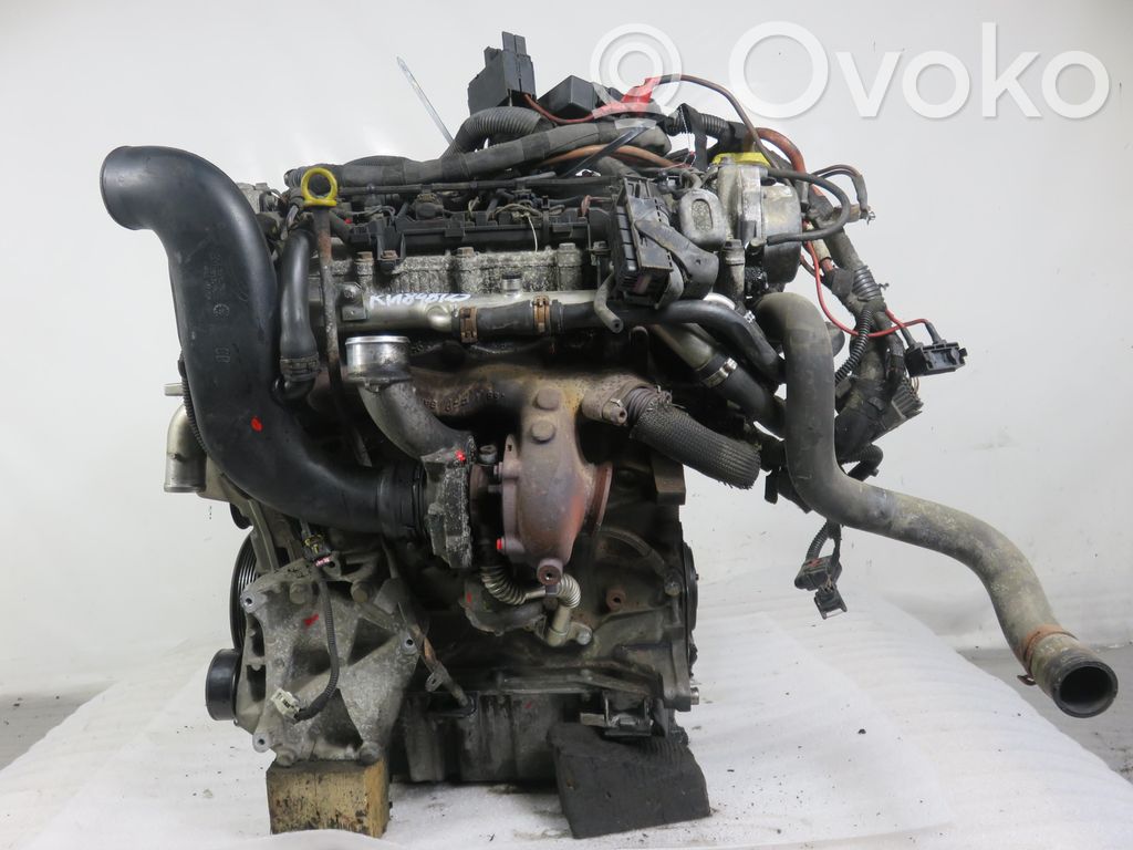 Motor