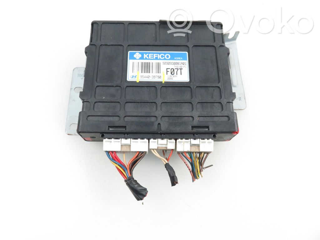 Hyundai Trajet Engine control unit/module 