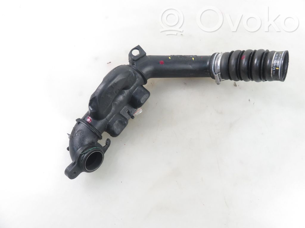 Citroen Berlingo Rezonator / Dolot powietrza 