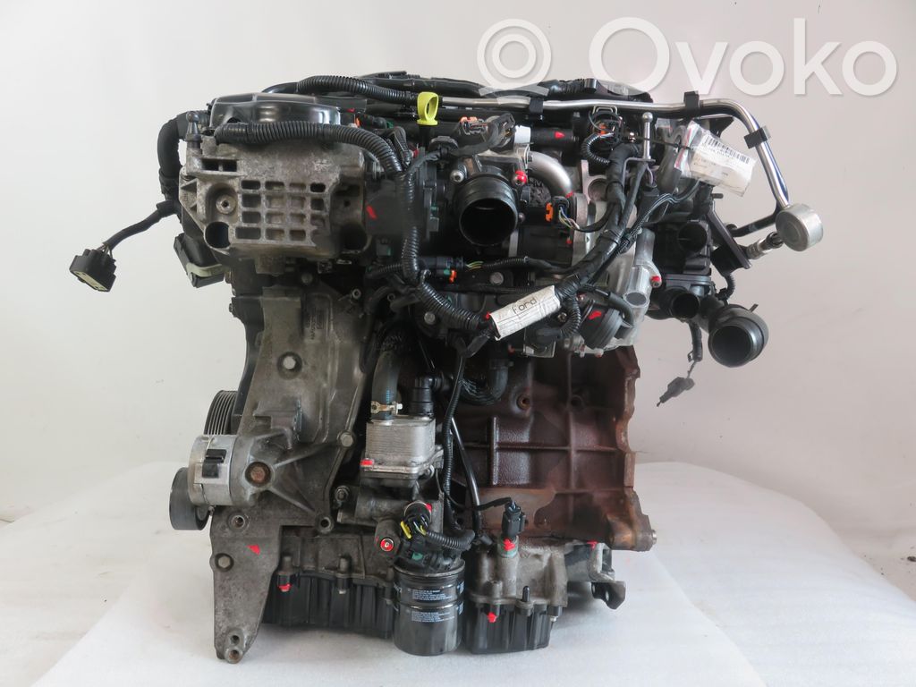 Engine   T8CJ,T8CJ