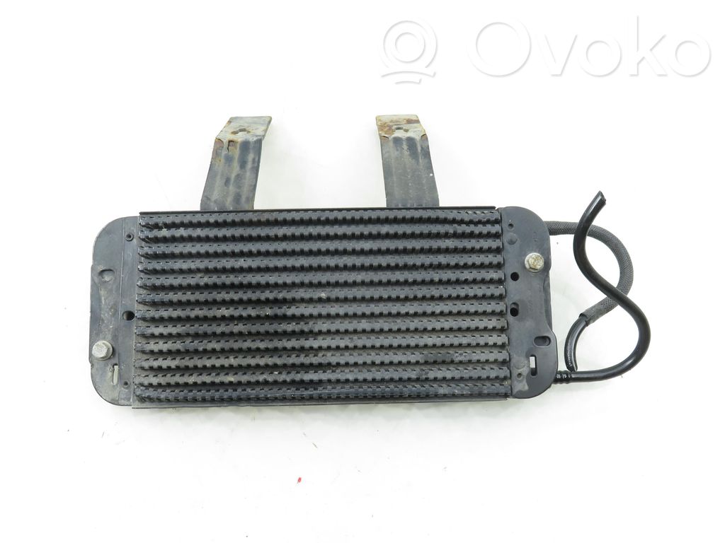 Kraftstoffkühler   175103180R,175103180R