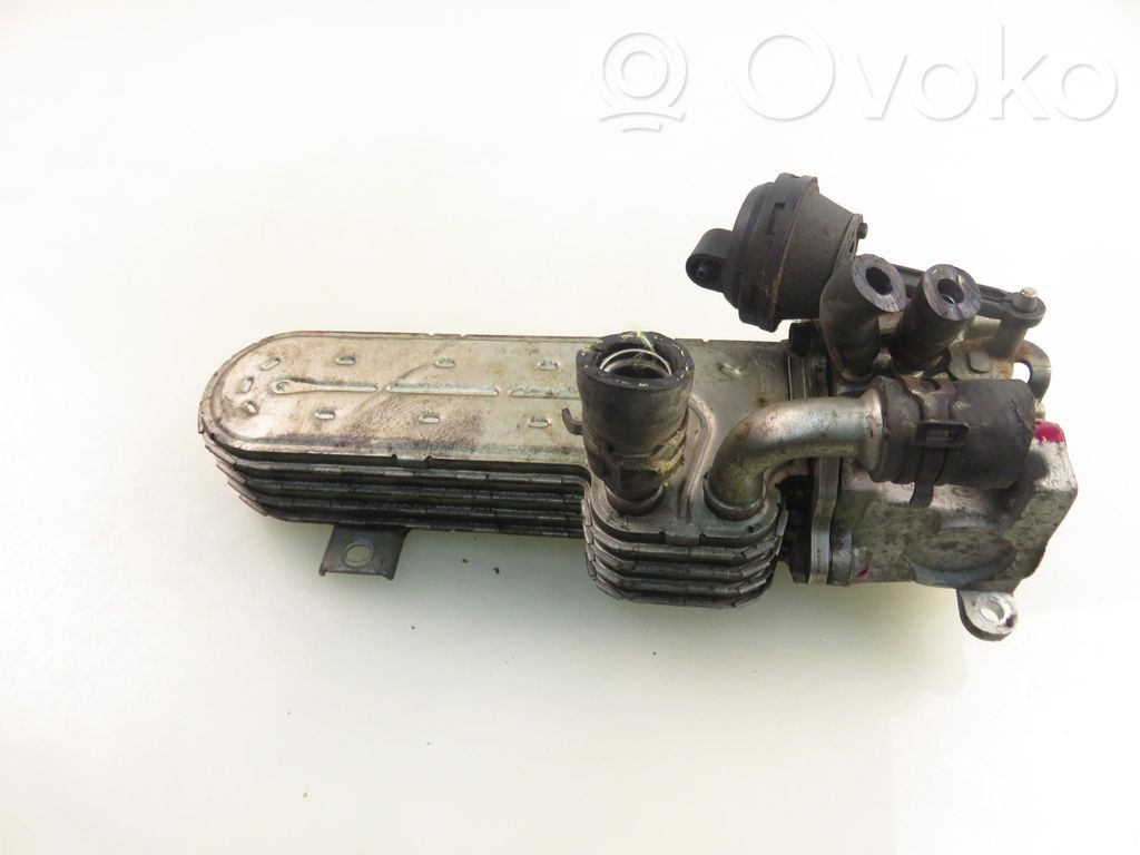 Volkswagen Touran I Válvula EGR
