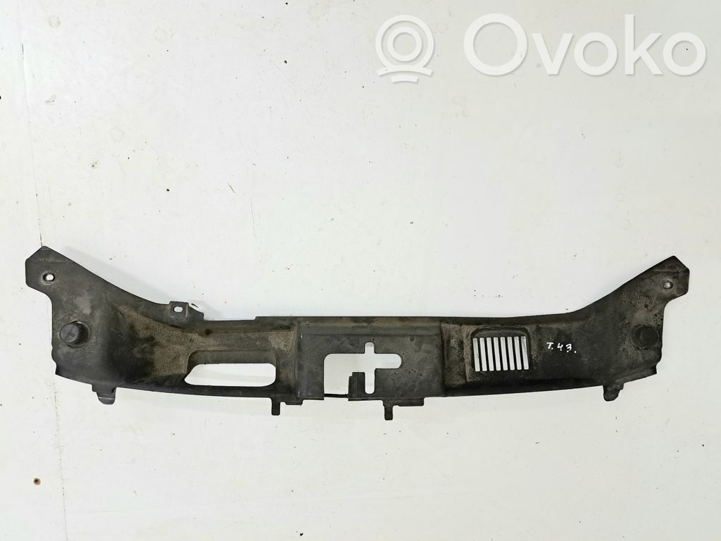 Radiator trim