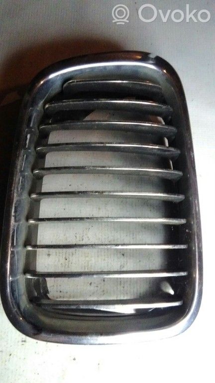 Front grill   81950560