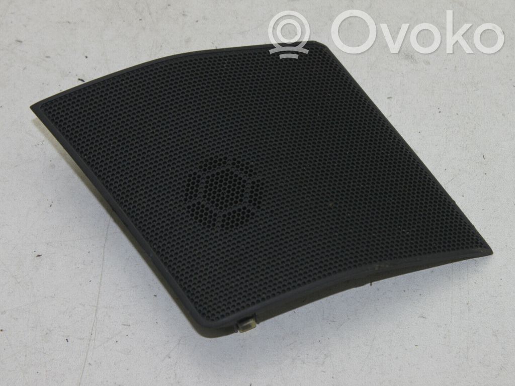 Panel speaker   554720F010