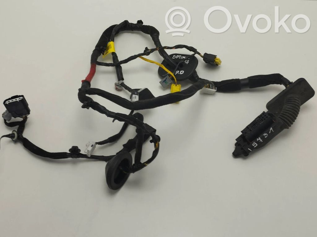KIA Optima Cableado de puerta delantera 